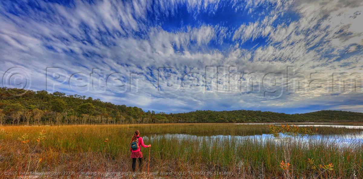 Peter Bellingham Photography Walking by Boomerang Lake - Fraser Island - QLD T (PB5D 00 51A1888)